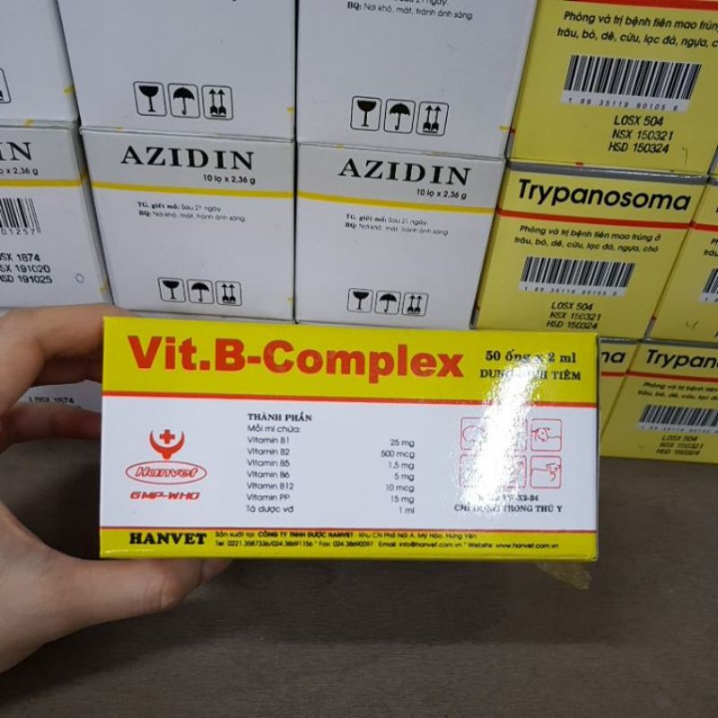 1 hôpk 50 ống 2ml vitamin bcomplex cho vật nuôi