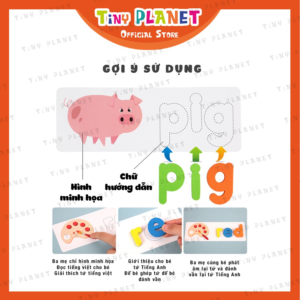 Bộ thẻ 56 từ flashcards kèm chữ cái gỗ dạy bé học từ vựng tiếng Anh Treehole giáo dục sớm Montessori