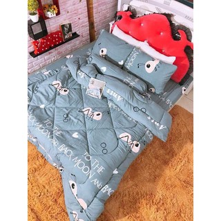 chăn phao siêu nhẹ poly nhiều hình 7