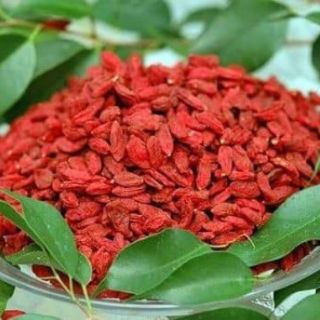 Kỉ tử đỏ hộp 500G khô thơm giòn