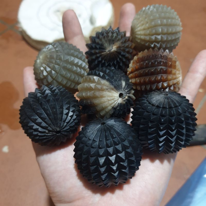 Quả cầu gai sừng 100%