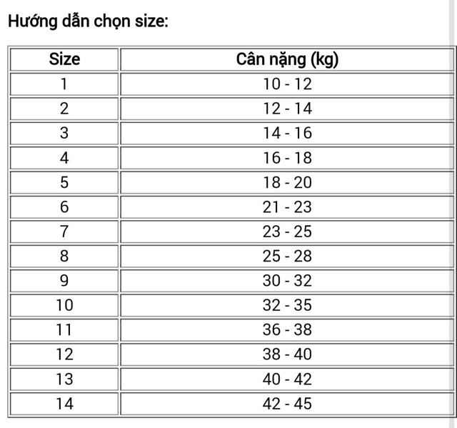 Set 5 quần chip bé gái 2 đến 14 tuổi