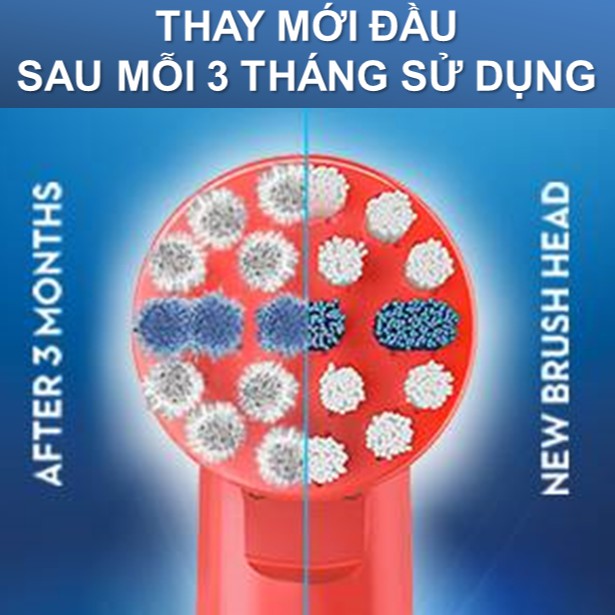 Đầu Bàn Chải Điện Oral-B Trẻ Em - Bé trai (Stars War/Spider-Man/Car) & Bé gái (Frozen/Princess/Minnie) [Made in Germany]