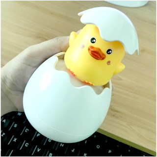 Combo 20 con gà nở dưới nước