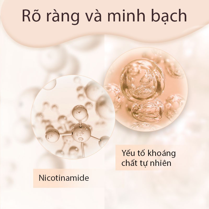 CatsRoses Hồng Đệm Không Khí Phấn Nền Trang Điểm Kiểm Soát Dầu Kem Che Khuyết Điểm Foundation Dưỡng Ẩm Lâu Dài Cho Sinh Viên Đệm Không KhíbbKem Mạnh Kem Che Khuyết Điểm 12g