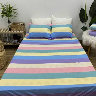 Set ga gối cotton poly cho mùa hè