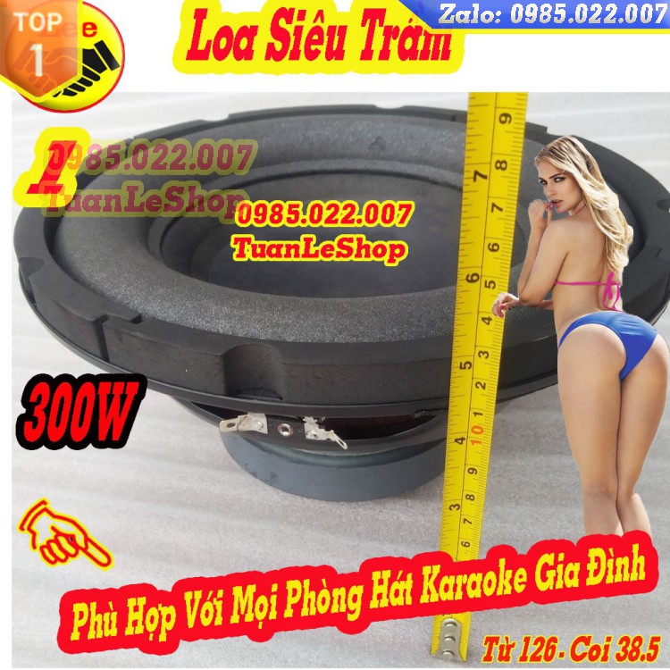 LOA SUB 2.5 TAC - LOA SUP 2.5 TAC - LOA SUP 25 BÌNH DÂN MS1020