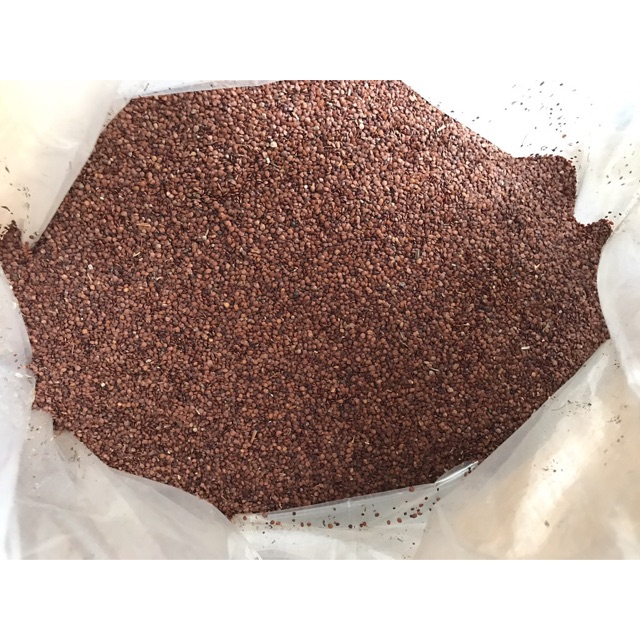 Hạt Đình Lịch/Hạt ngũ hoa (500g) 75.000₫