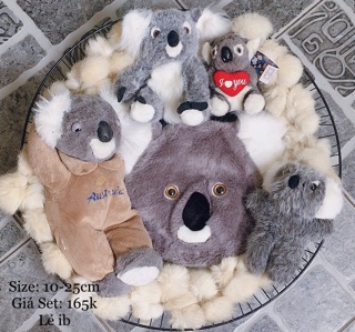 SET KOALA NHỒI BÔNG ĐỦ SIZE