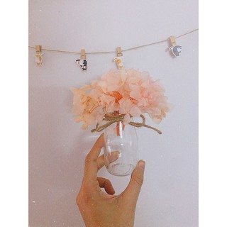 Lọ hoa thủy tinh cắm hoa CẨM TÚ CẦU để bàn nhỏ xinh dùng decor phòng ngủ, trang trí...