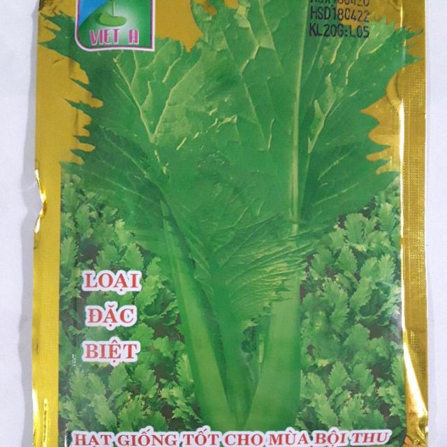 Hạt giống cải canh lá xẻ lai(canh mèo)