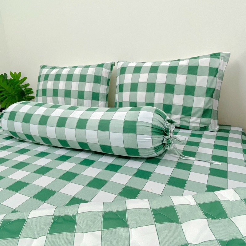 Bộ ga giường thun Hàn caro