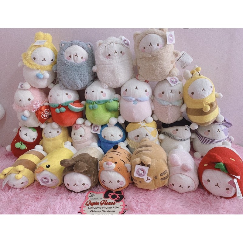 Molang siêu cute (ib lựa mẫu)