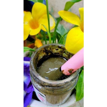 Cỏ Trừ Mụn Nám Tàn Nhang - Cô Gái Núi