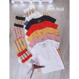 Áo thun nữ cổ tim Gap (100% cotton)