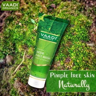 Sữa rửa mặt lá nem , tràm trà chuyên dành cho da mụn vaadi herbals