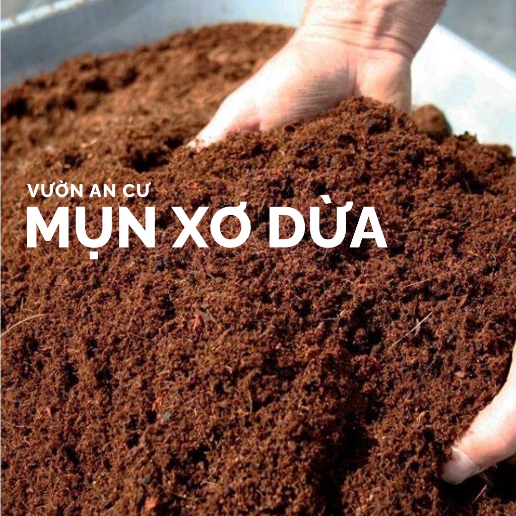 Mụn xơ dừa Đặng Gia Trang SFARM sạch đã qua xử lý, trồng cây hữu cơ an toàn (gói 75g-1L)