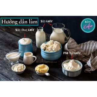 nấm  kefir