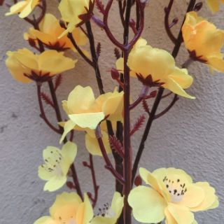 Hoa mai giả