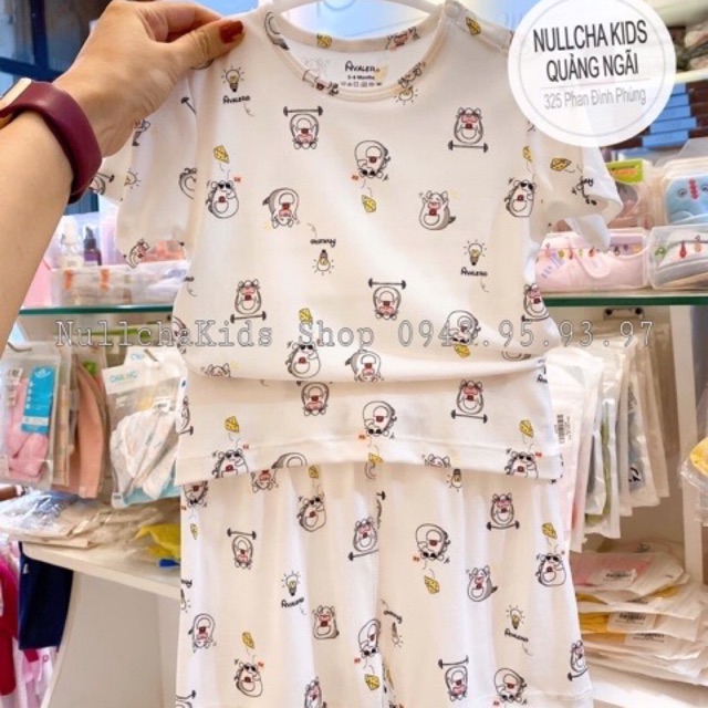 BỘ CỘC TAY AVALER