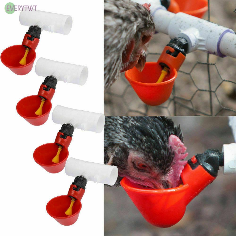 Máng uống nước tự động cho gà