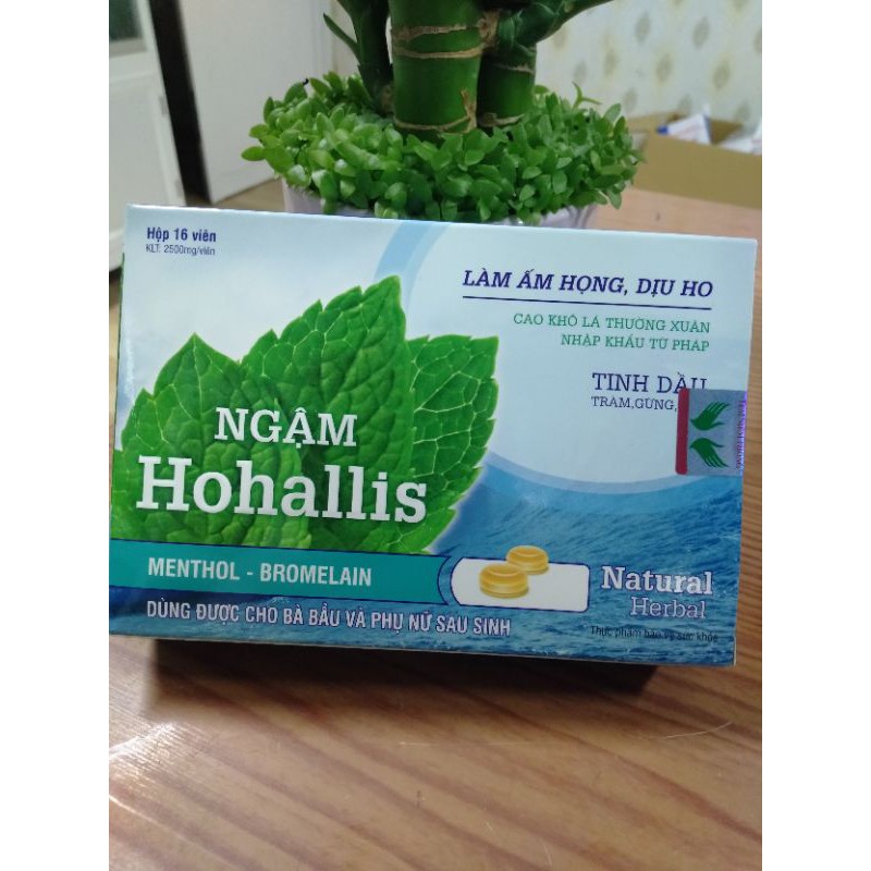 Ngậm Hohallis(hộp 16 viên) dùng cho BÀ BẦU và PHỤ NỮ CHO CON BÚ