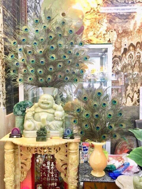 Lông công 100cm tự nhiên LOẠI 1 to đại | BigBuy360 - bigbuy360.vn