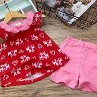 Combo 10 bộ cotton dành cho bé gái