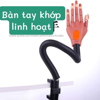 Bàn Tay khớp học nails