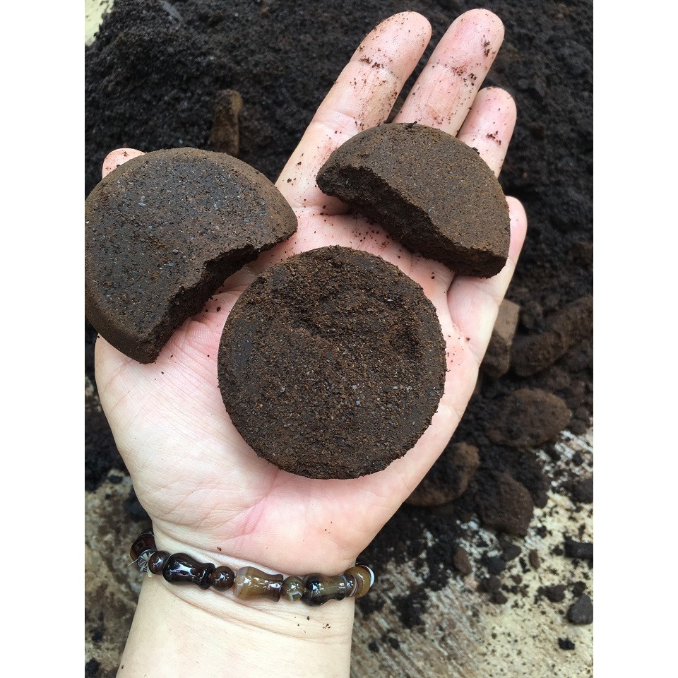 Sale - 1KG Bã Cà Phê MỘC  sản phẩm y hình