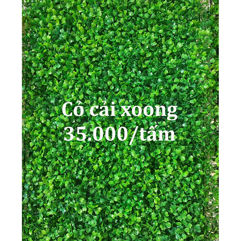 Cỏ treo tường cải xoong cao cấp 40*60cm