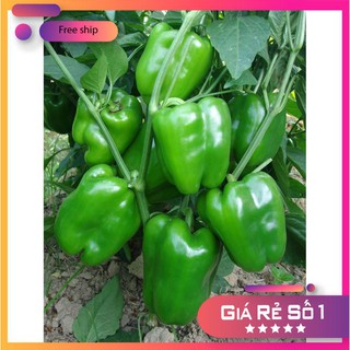 Hạt giống Ớt Ngọt F1 (0.1g)