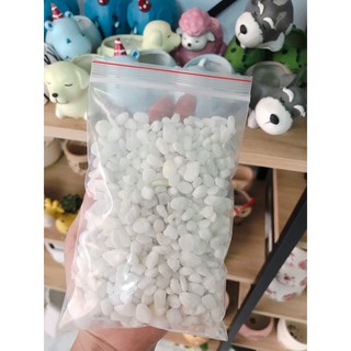 Sỏi trắng trang trí chậu cây