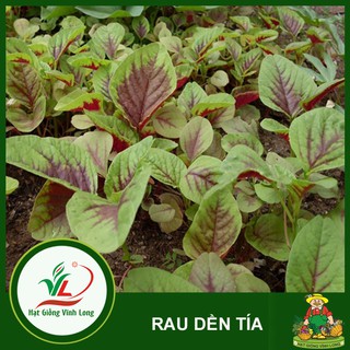 Hạt giống rau Dền tía RD 08 - 20g