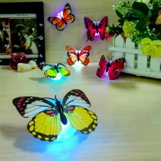 Đèn led bướm phát quang