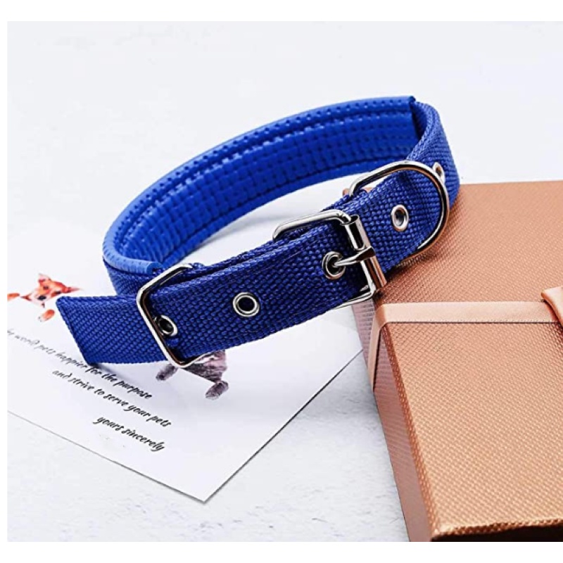 VÒNG CỔ CHO CHÓ CÓ ĐỆM  (BÁN SỈ: 10 SỢI DÂY) -  LOVE PETS SHOP