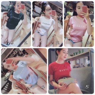 Áo thun thái thêu chữ mango