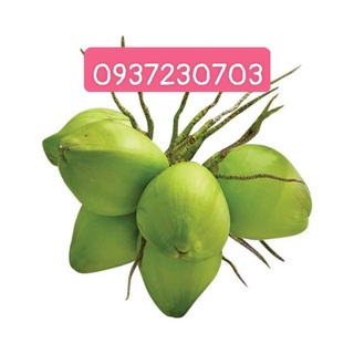 Dùa xiêm trà vinh