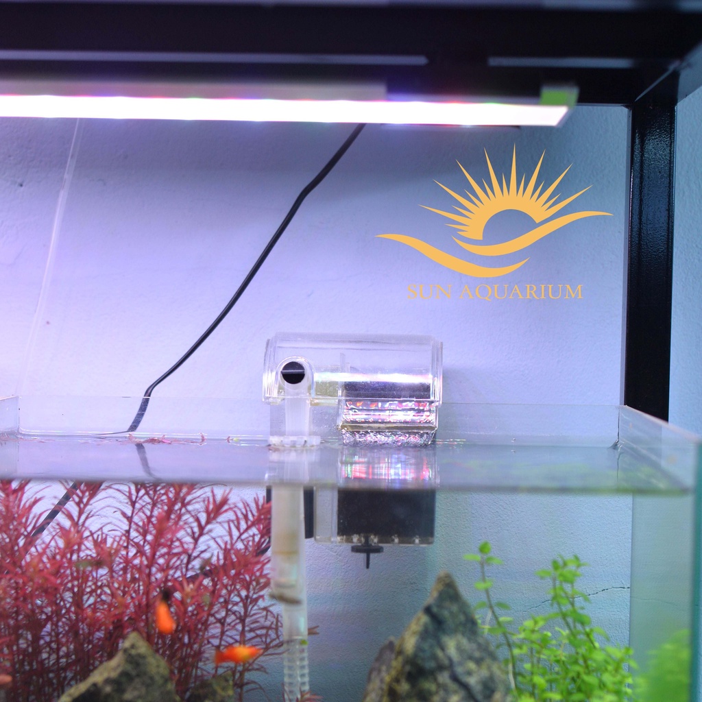 Máy Lọc Thác + Lọc Váng 5W VIPSUN AP-303H - Lọc Nước Hồ Cá Mini- SUN AQUARIUM