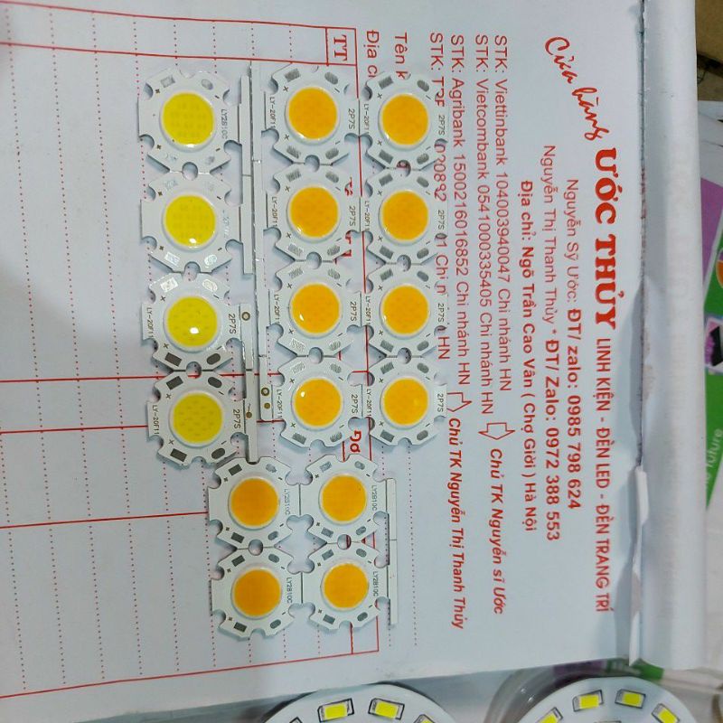 10c mắt lét cob