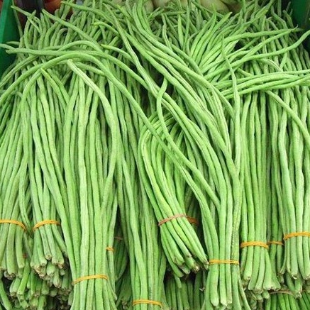 Hạt Giống Đậu Đũa Đài Loan Hạt Trắng (20gr)