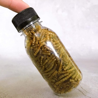 ✅Sâu khô cho hamster(Chai nhỏ)