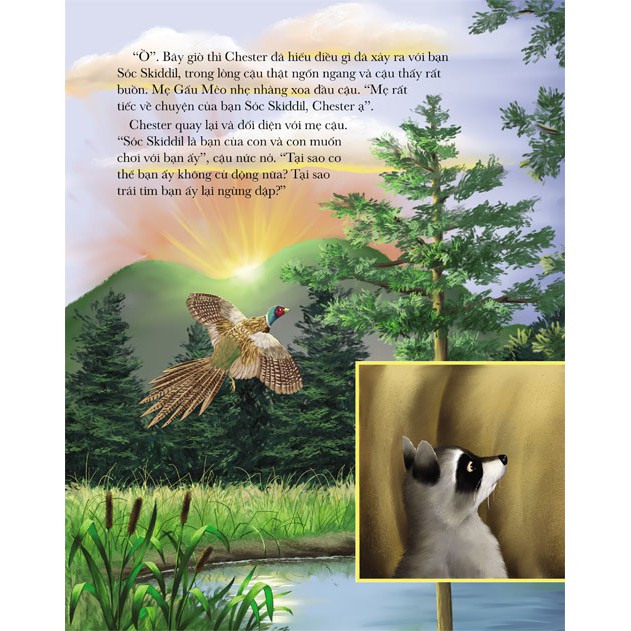 Sách Gấu mèo Chester và quả sồi đong đầy kỷ niệm