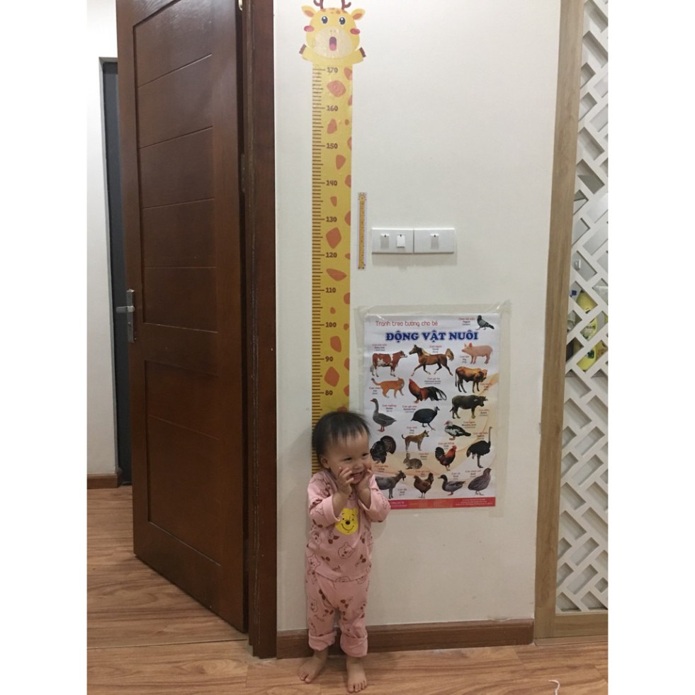 Thước Đo Chiều Cao dán tường cho bé Lalala baby hình con vật đáng yêu