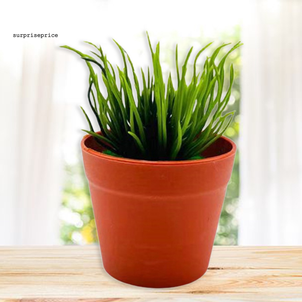 Chậu Cây Bonsai Giả Mini Bằng Nhựa Dùng Trang Trí Nhà Cửa/Văn Phòng