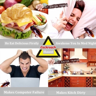 Viên phấn diệt gián/ côn trùng
