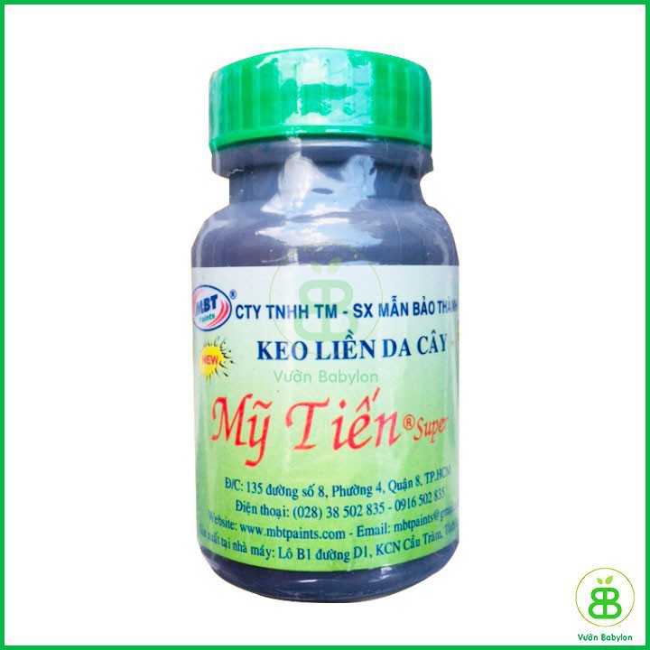 Keo liền da cây - Keo liền sẹo Mỹ Tiến lọ 100g