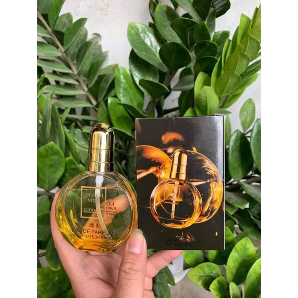 Tinh Dầu Dưỡng Tóc Thơm Cocoesl Noir Hương Nước Hoa 80ml -LM