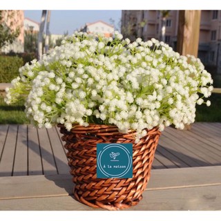 Cành hoa baby 62cm nhiều nhánh hoa nhỏ xinh xắn dùng trong decor chụp ảnh trang trí nhà cửa