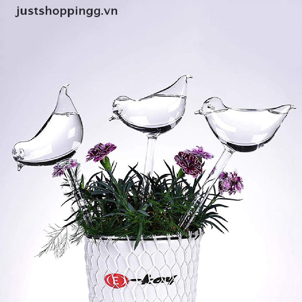 Bình Tưới Nước Tự Động Trong Suốt Hình Con Chim